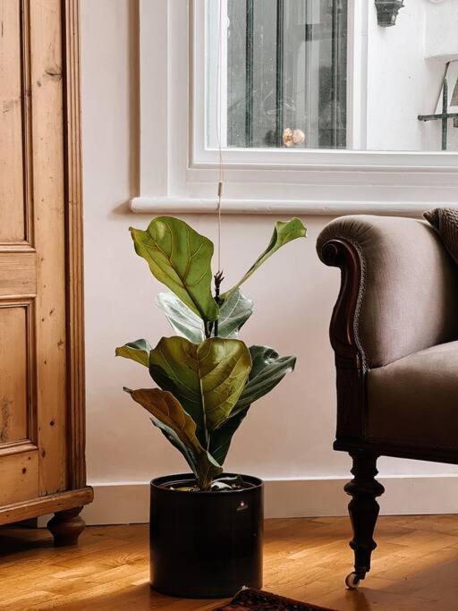 Stunning Victorian Mansion Apartment - Hosted By Agf Property - Free Parking Upon Request Brighton ภายนอก รูปภาพ